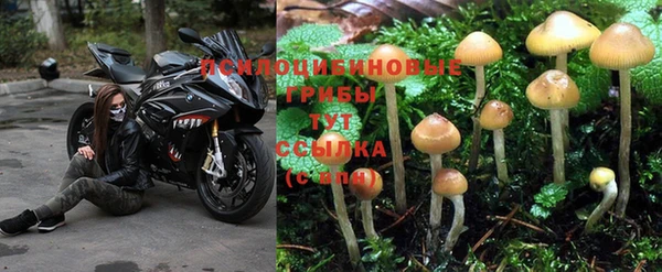 крисы Алексеевка