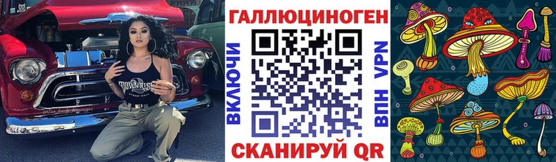 как найти закладки  Лодейное Поле  Псилоцибиновые грибы мицелий 